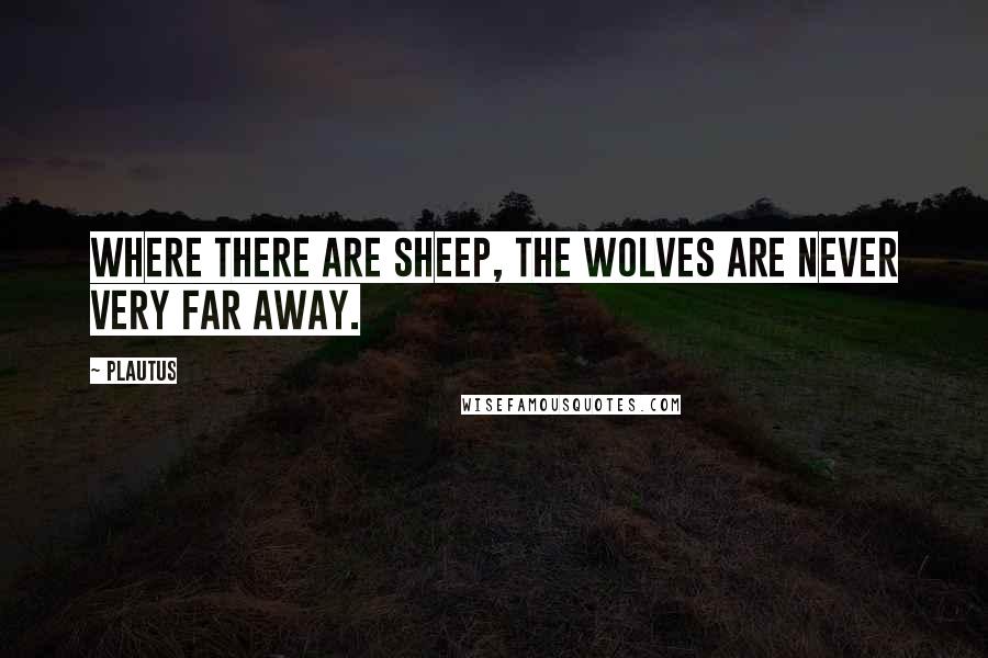 Plautus Quotes: Where there are sheep, the wolves are never very far away.