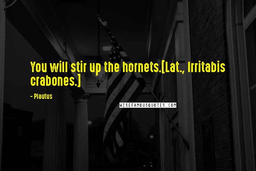 Plautus Quotes: You will stir up the hornets.[Lat., Irritabis crabones.]