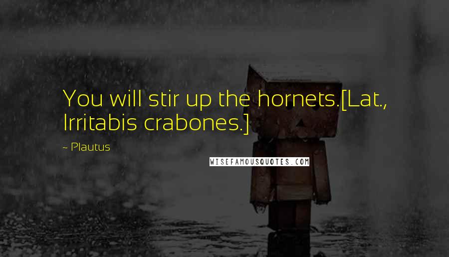 Plautus Quotes: You will stir up the hornets.[Lat., Irritabis crabones.]