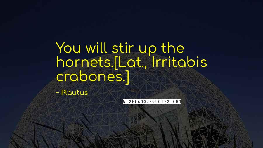 Plautus Quotes: You will stir up the hornets.[Lat., Irritabis crabones.]