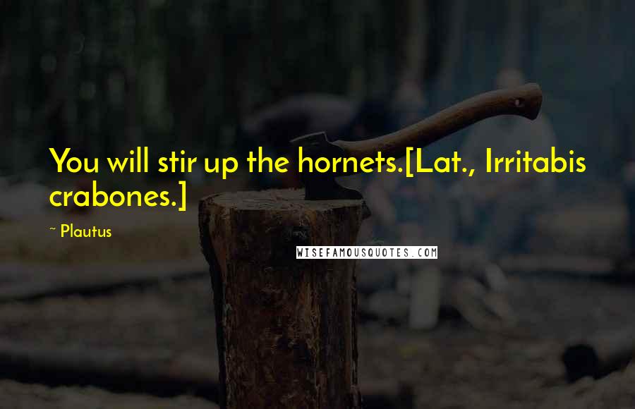 Plautus Quotes: You will stir up the hornets.[Lat., Irritabis crabones.]