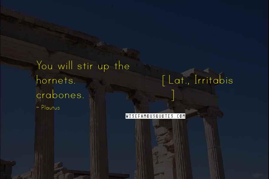 Plautus Quotes: You will stir up the hornets.[Lat., Irritabis crabones.]