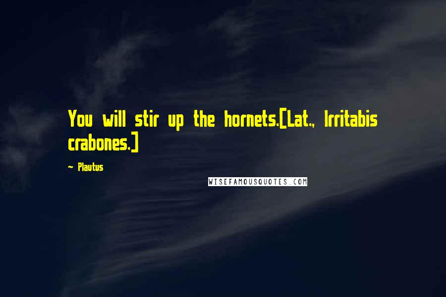 Plautus Quotes: You will stir up the hornets.[Lat., Irritabis crabones.]