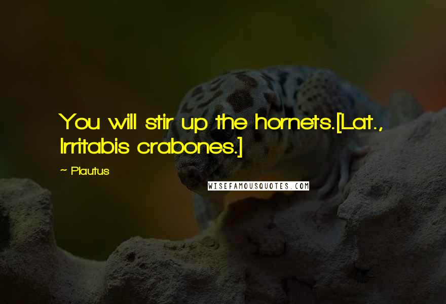 Plautus Quotes: You will stir up the hornets.[Lat., Irritabis crabones.]