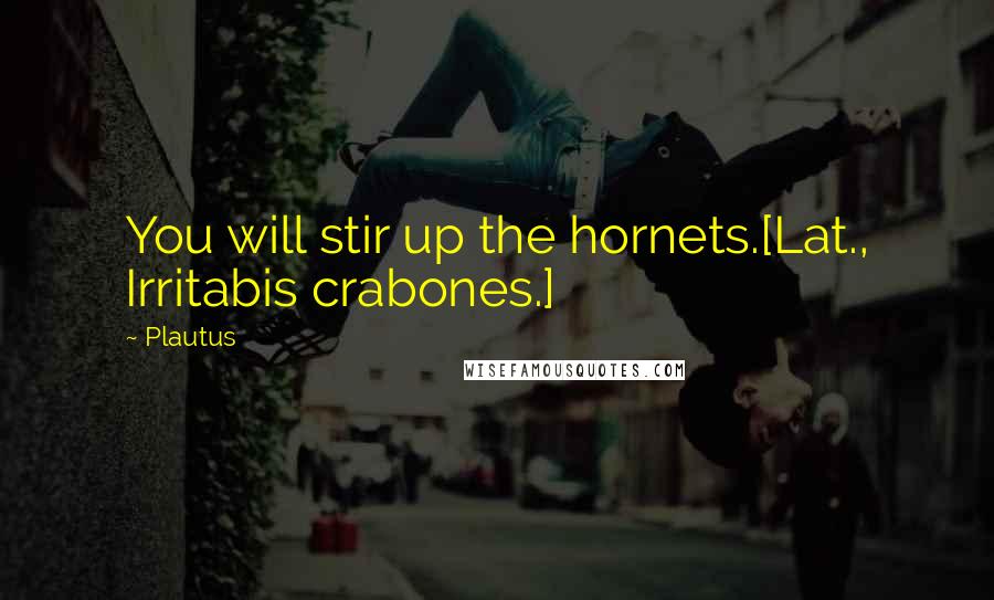 Plautus Quotes: You will stir up the hornets.[Lat., Irritabis crabones.]