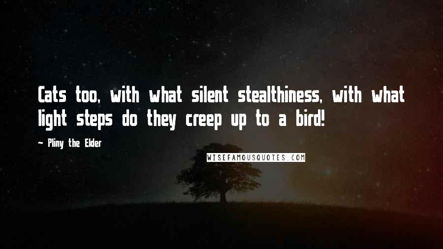 Pliny The Elder Quotes: Cats too, with what silent stealthiness, with what light steps do they creep up to a bird!