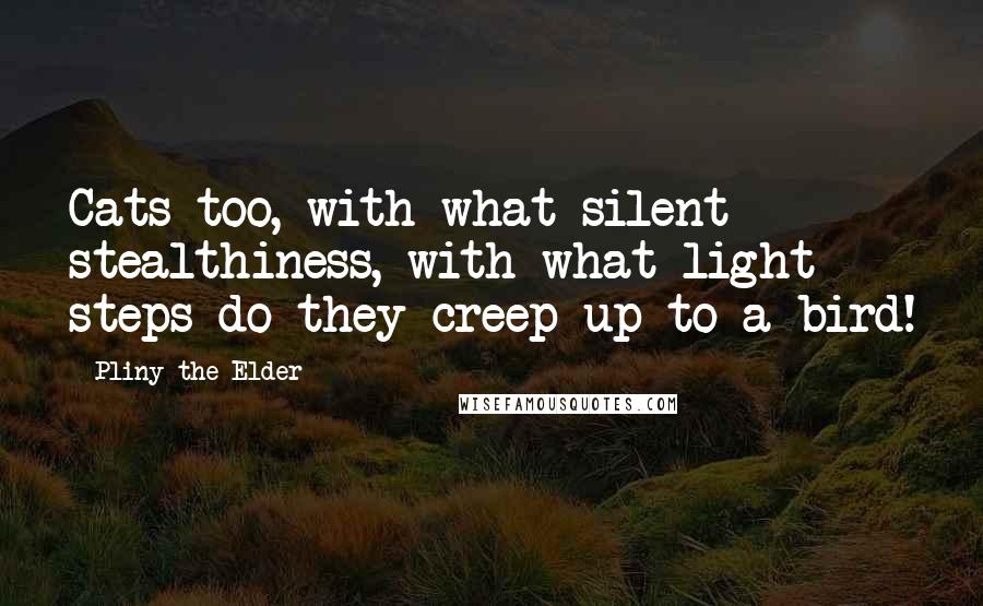 Pliny The Elder Quotes: Cats too, with what silent stealthiness, with what light steps do they creep up to a bird!