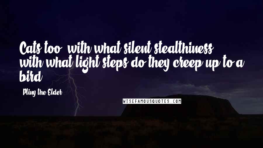 Pliny The Elder Quotes: Cats too, with what silent stealthiness, with what light steps do they creep up to a bird!