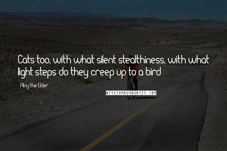 Pliny The Elder Quotes: Cats too, with what silent stealthiness, with what light steps do they creep up to a bird!