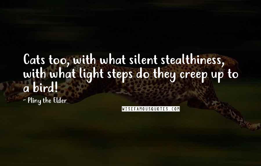 Pliny The Elder Quotes: Cats too, with what silent stealthiness, with what light steps do they creep up to a bird!