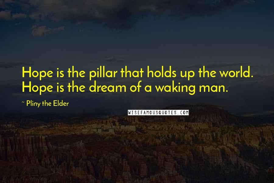 Pliny The Elder Quotes: Hope is the pillar that holds up the world. Hope is the dream of a waking man.