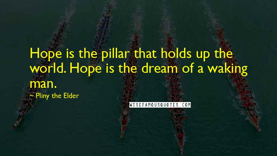 Pliny The Elder Quotes: Hope is the pillar that holds up the world. Hope is the dream of a waking man.