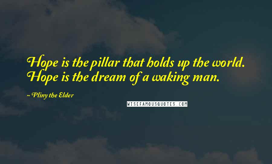Pliny The Elder Quotes: Hope is the pillar that holds up the world. Hope is the dream of a waking man.