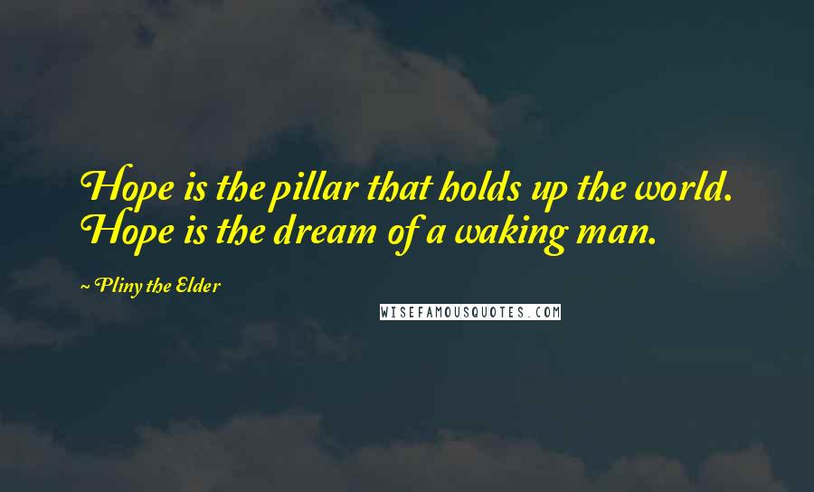 Pliny The Elder Quotes: Hope is the pillar that holds up the world. Hope is the dream of a waking man.