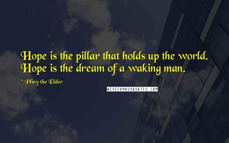 Pliny The Elder Quotes: Hope is the pillar that holds up the world. Hope is the dream of a waking man.