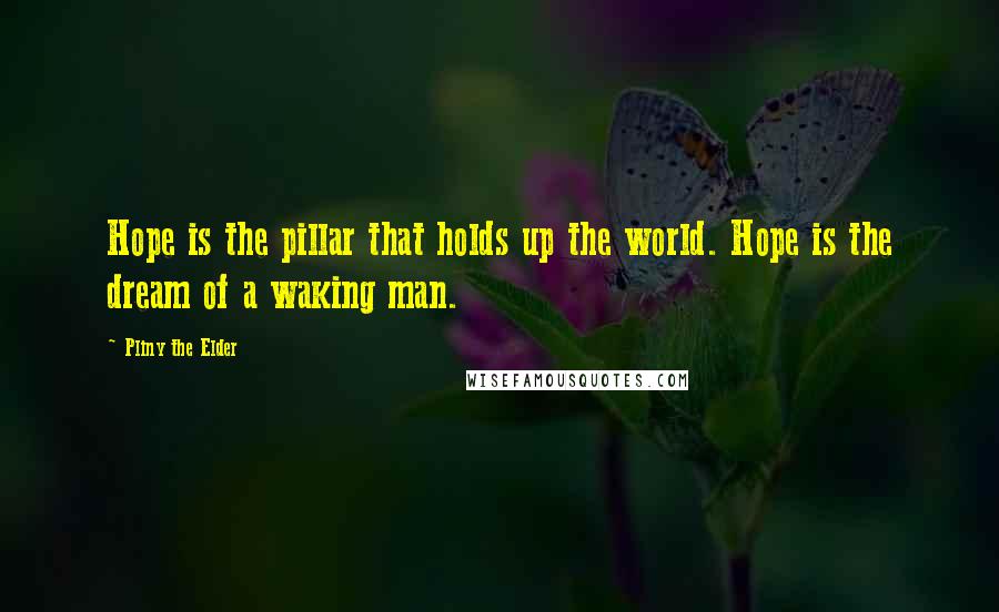 Pliny The Elder Quotes: Hope is the pillar that holds up the world. Hope is the dream of a waking man.