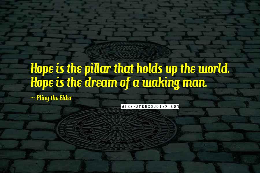 Pliny The Elder Quotes: Hope is the pillar that holds up the world. Hope is the dream of a waking man.