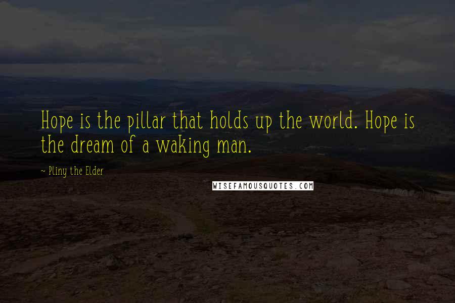 Pliny The Elder Quotes: Hope is the pillar that holds up the world. Hope is the dream of a waking man.