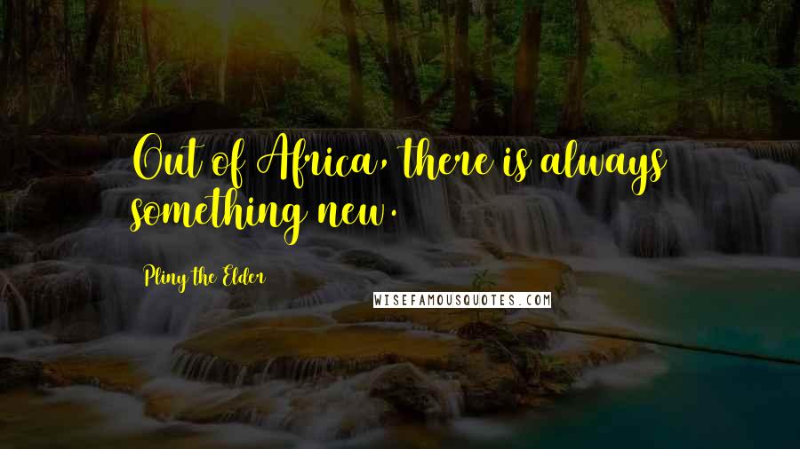 Pliny The Elder Quotes: Out of Africa, there is always something new.