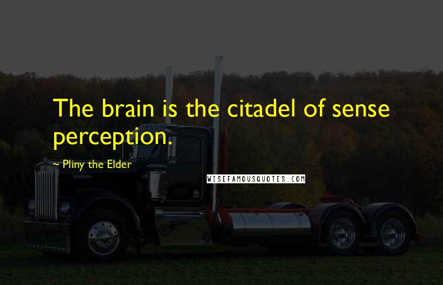 Pliny The Elder Quotes: The brain is the citadel of sense perception.