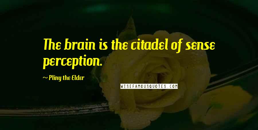 Pliny The Elder Quotes: The brain is the citadel of sense perception.