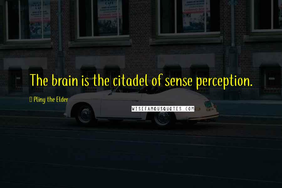 Pliny The Elder Quotes: The brain is the citadel of sense perception.
