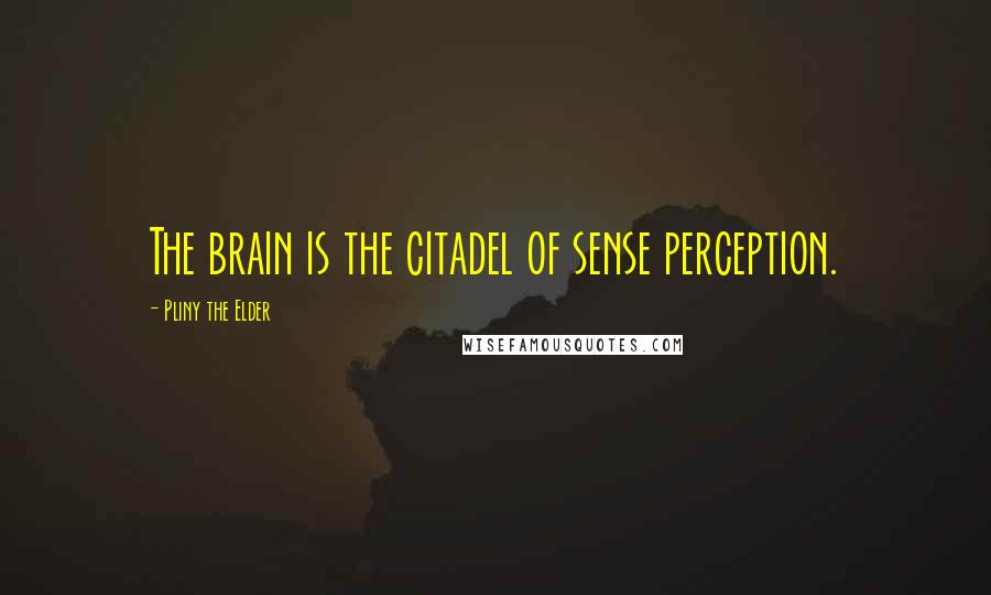 Pliny The Elder Quotes: The brain is the citadel of sense perception.