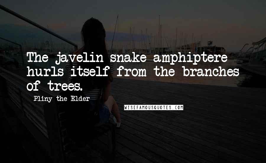 Pliny The Elder Quotes: The javelin-snake amphiptere hurls itself from the branches of trees.