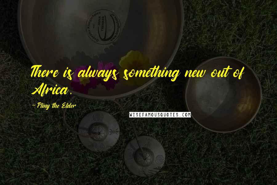 Pliny The Elder Quotes: There is always something new out of Africa.