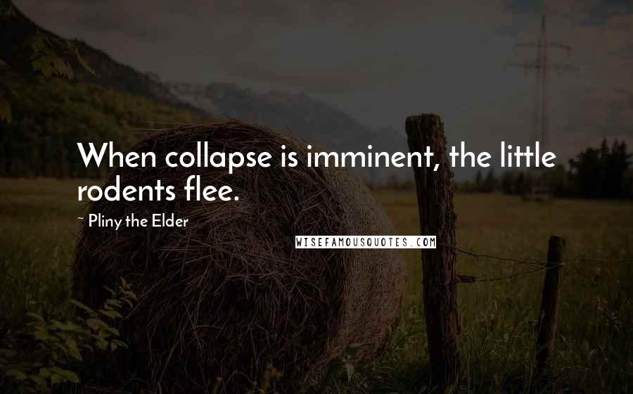 Pliny The Elder Quotes: When collapse is imminent, the little rodents flee.