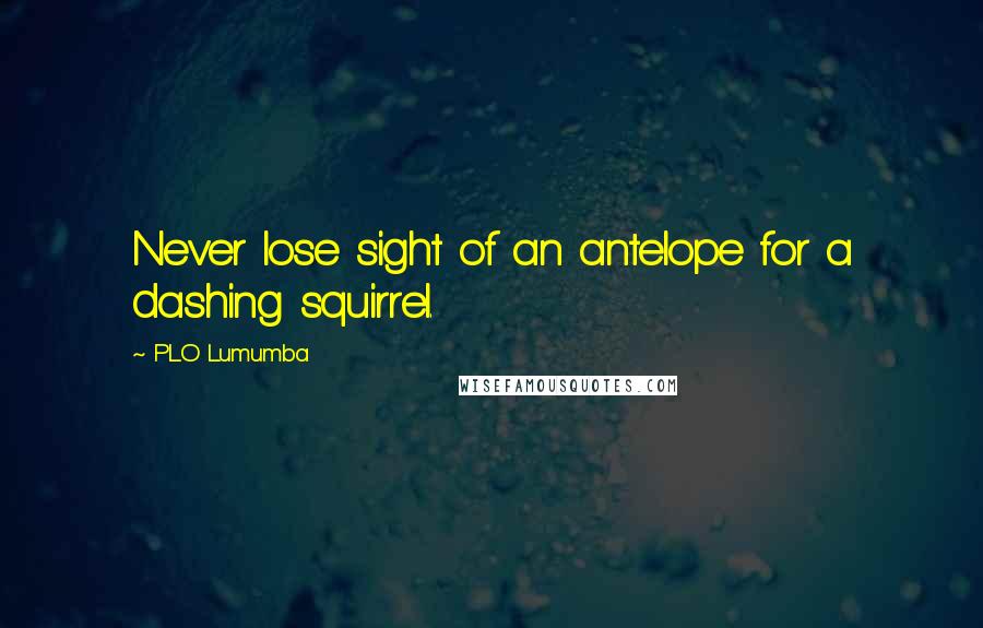 PLO Lumumba Quotes: Never lose sight of an antelope for a dashing squirrel.