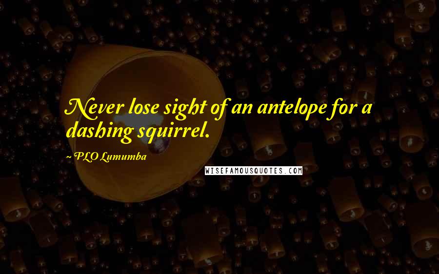 PLO Lumumba Quotes: Never lose sight of an antelope for a dashing squirrel.