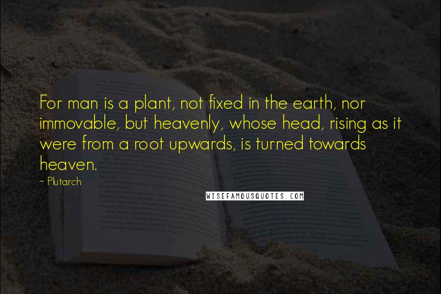 Plutarch Quotes: For man is a plant, not fixed in the earth, nor immovable, but heavenly, whose head, rising as it were from a root upwards, is turned towards heaven.