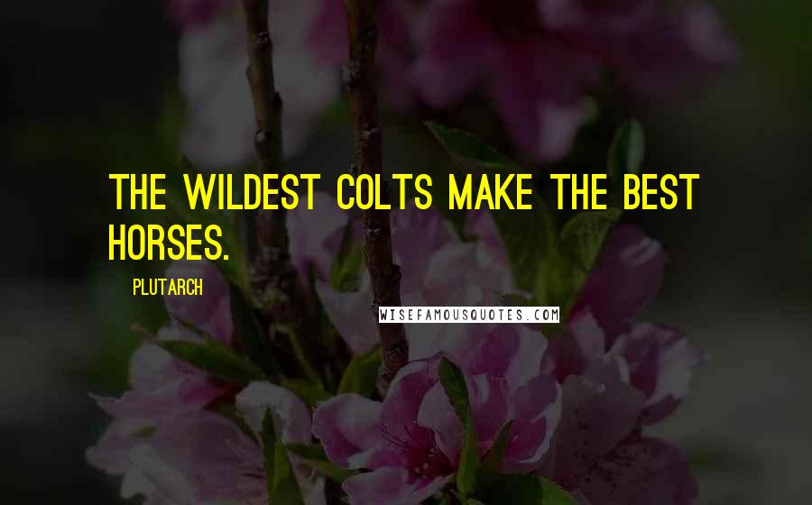 Plutarch Quotes: The wildest colts make the best horses.