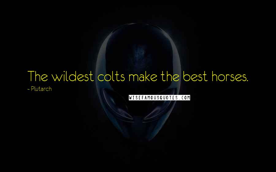 Plutarch Quotes: The wildest colts make the best horses.
