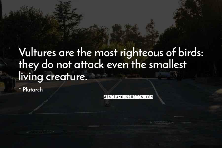 Plutarch Quotes: Vultures are the most righteous of birds: they do not attack even the smallest living creature.