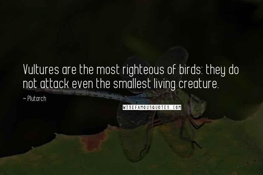 Plutarch Quotes: Vultures are the most righteous of birds: they do not attack even the smallest living creature.