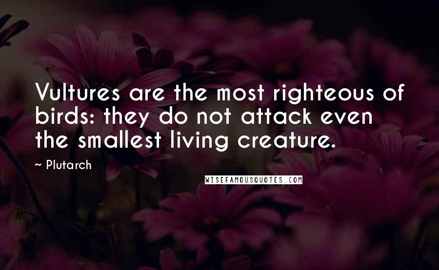 Plutarch Quotes: Vultures are the most righteous of birds: they do not attack even the smallest living creature.