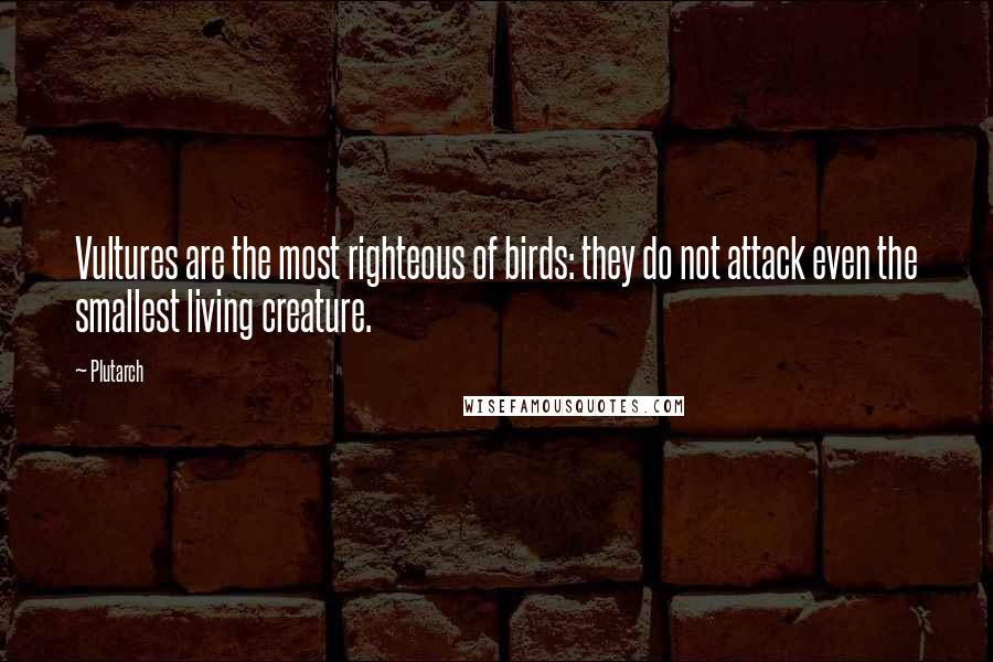 Plutarch Quotes: Vultures are the most righteous of birds: they do not attack even the smallest living creature.