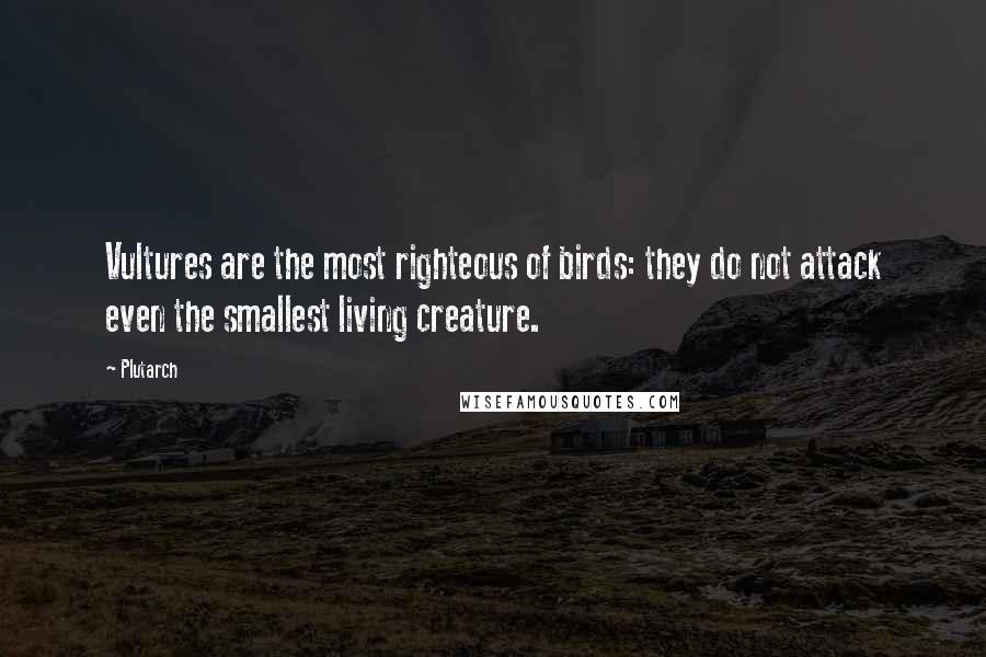 Plutarch Quotes: Vultures are the most righteous of birds: they do not attack even the smallest living creature.