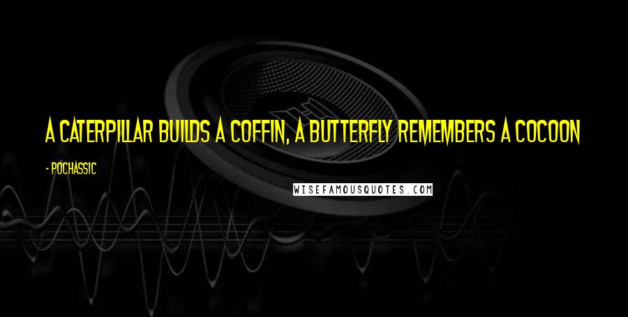 Pochassic Quotes: A caterpillar builds a coffin, a butterfly remembers a cocoon