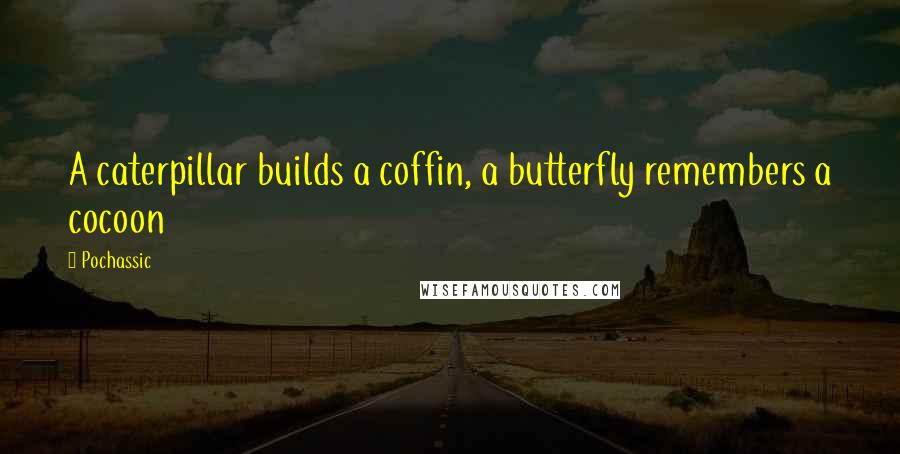 Pochassic Quotes: A caterpillar builds a coffin, a butterfly remembers a cocoon
