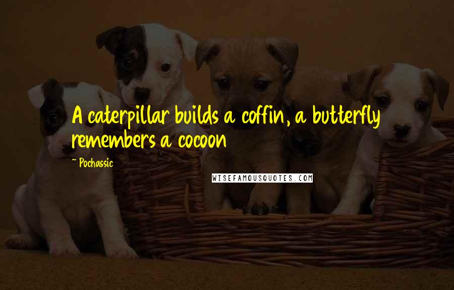 Pochassic Quotes: A caterpillar builds a coffin, a butterfly remembers a cocoon