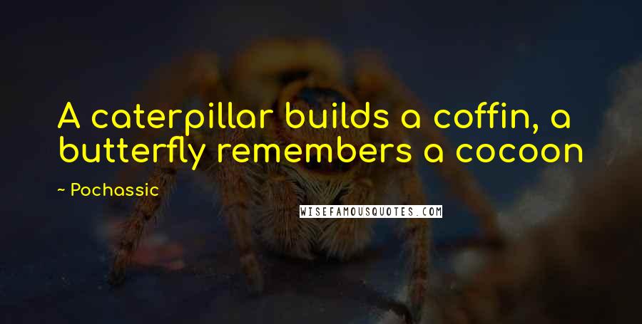 Pochassic Quotes: A caterpillar builds a coffin, a butterfly remembers a cocoon