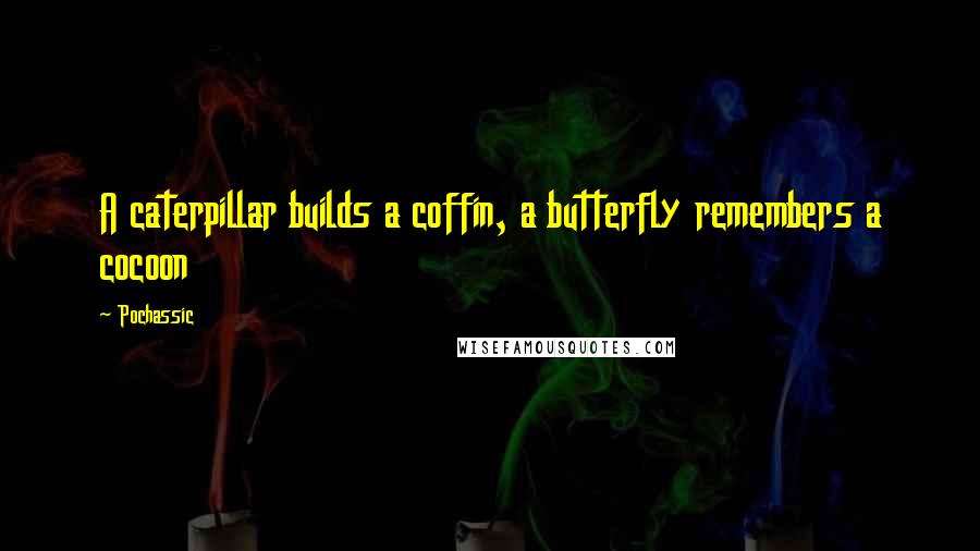 Pochassic Quotes: A caterpillar builds a coffin, a butterfly remembers a cocoon