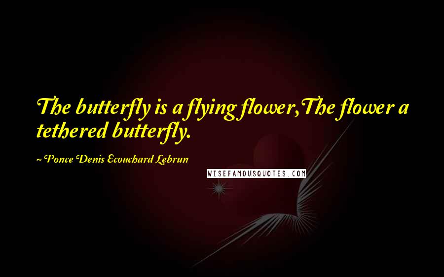 Ponce Denis Ecouchard Lebrun Quotes: The butterfly is a flying flower,The flower a tethered butterfly.