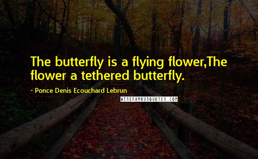 Ponce Denis Ecouchard Lebrun Quotes: The butterfly is a flying flower,The flower a tethered butterfly.