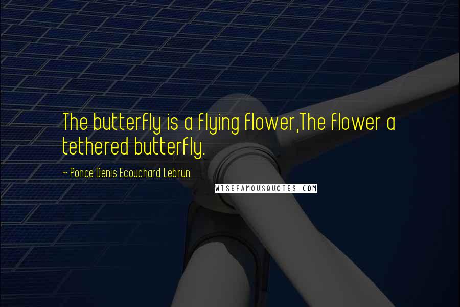 Ponce Denis Ecouchard Lebrun Quotes: The butterfly is a flying flower,The flower a tethered butterfly.