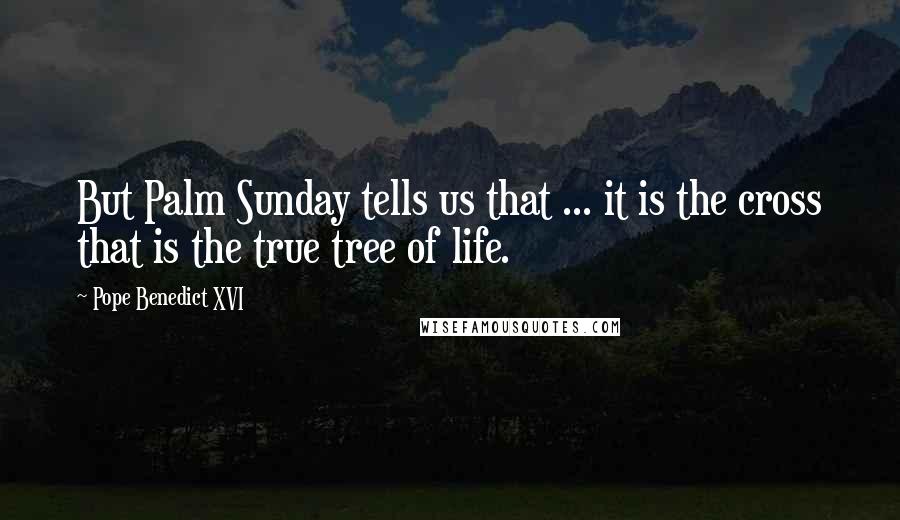 Pope Benedict XVI Quotes: But Palm Sunday tells us that ... it is the cross that is the true tree of life.