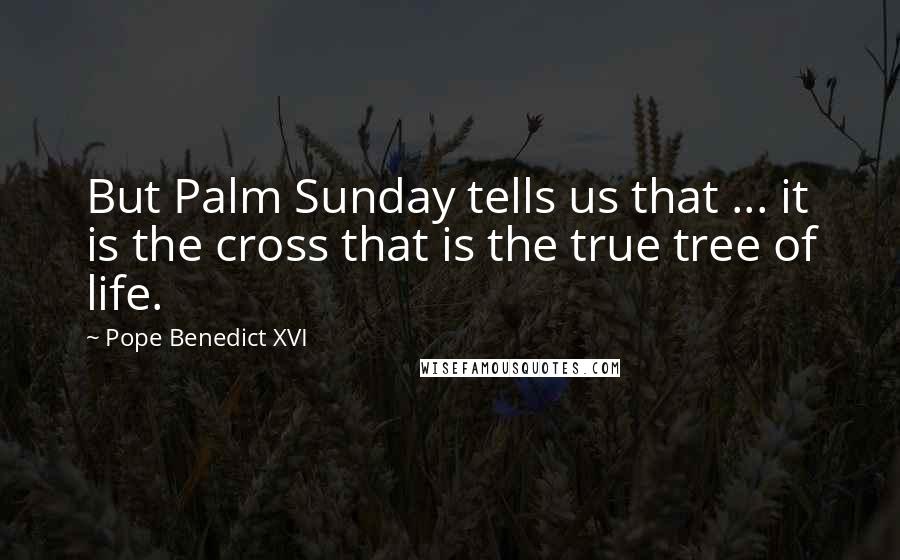 Pope Benedict XVI Quotes: But Palm Sunday tells us that ... it is the cross that is the true tree of life.